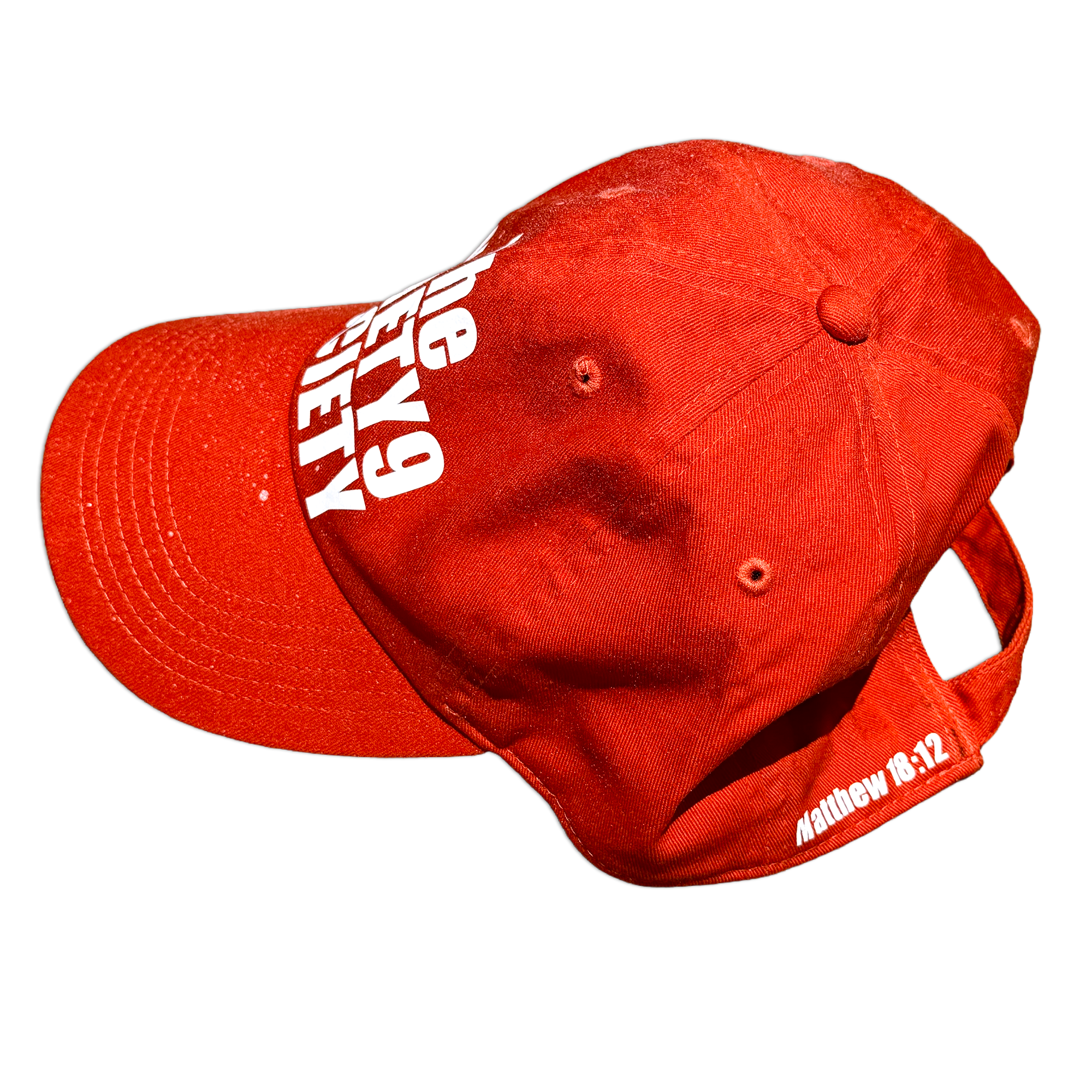Signature Dad Hat